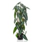 Emerald Alocasia artificial en maceta 75 cm Emerald Alocasia artificial en maceta 75 cm