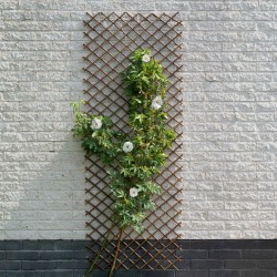 Nature Enrejado de jardín sauce natural marrón 30x180 cm