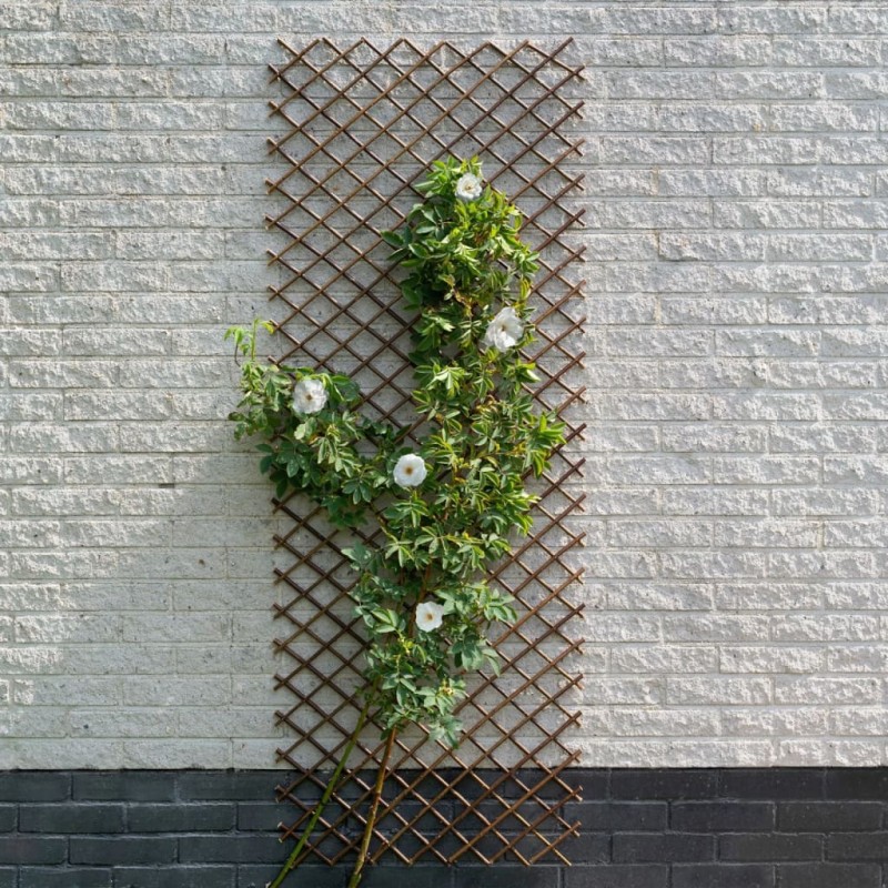Nature Enrejado de jardín sauce natural marrón 30x180 cm Nature Enrejado de jardín sauce natural marrón 30x180 cm