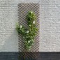 Nature Enrejado de jardín sauce natural marrón 30x180 cm Nature Enrejado de jardín sauce natural marrón 30x180 cm