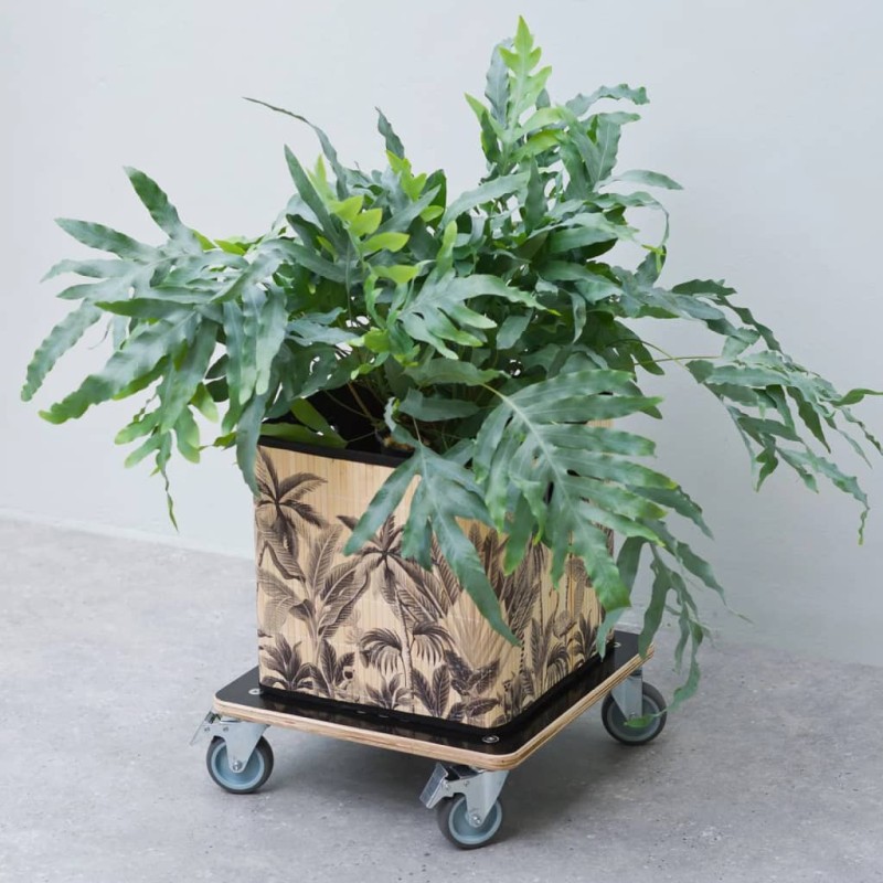Nature Soporte con ruedas para plantas cuadrado madera negro 38x38 cm Nature Soporte con ruedas para plantas cuadrado madera negro 38x38 cm