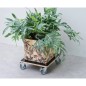 Nature Soporte con ruedas para plantas cuadrado madera negro 38x38 cm Nature Soporte con ruedas para plantas cuadrado madera negro 38x38 cm