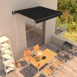 vidaXL Toldo retráctil manual gris antracita 300x250 cm