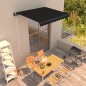 vidaXL Toldo retráctil manual gris antracita 300x250 cm vidaXL Toldo retráctil manual gris antracita 300x250 cm
