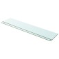 vidaXL Estantes 2 unidades panel de vidrio transparente 100x20 cm vidaXL Estantes 2 unidades panel de vidrio transparente 100x20 cm