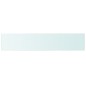 vidaXL Estantes 2 unidades panel de vidrio transparente 100x20 cm vidaXL Estantes 2 unidades panel de vidrio transparente 100x20 cm