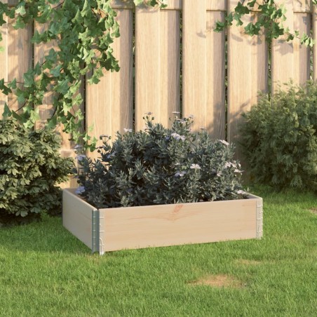 vidaXL Arriate de madera maciza de pino 60x80 cm