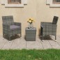 vidaXL Muebles de jardín 3 pzas ratán sintético vidrio templado gris