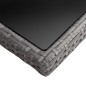 vidaXL Set de comedor de jardín 9 piezas ratán PE y vidrio gris vidaXL Set de comedor de jardín 9 piezas ratán PE y vidrio gris