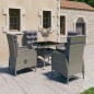 vidaXL Muebles de jardín 5 piezas ratán sintético y vidrio gris