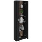 vidaXL Juego de muebles de recibidor aglomerado negro vidaXL Juego de muebles de recibidor aglomerado negro