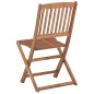 vidaXL Sillas de jardín plegables 2 uds y cojines madera maciza acacia vidaXL Sillas de jardín plegables 2 uds y cojines madera maciza acacia