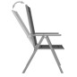 vidaXL Juego de comedor de jardín 10 piezas negro y plateado vidaXL Juego de comedor de jardín 10 piezas negro y plateado