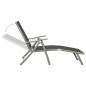 vidaXL Juego de comedor de jardín 10 piezas negro y plateado vidaXL Juego de comedor de jardín 10 piezas negro y plateado