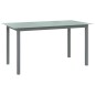 vidaXL Juego de comedor de jardín 10 piezas negro y plateado vidaXL Juego de comedor de jardín 10 piezas negro y plateado