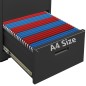 vidaXL Armario archivador de acero antracita 46x62x72,5 cm