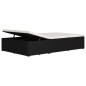 vidaXL Tumbona convertible con cojín de ratán sintético negro vidaXL Tumbona convertible con cojín de ratán sintético negro