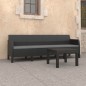 vidaXL Set de muebles jardín 2 piezas cojines PP ratán gris antracita