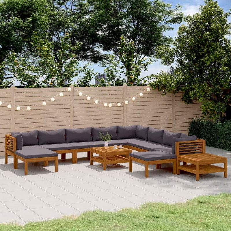 vidaXL Muebles de jardín 12 pzas cojines madera maciza de acacia 