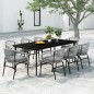 vidaXL Juego de comedor de jardín 9 piezas ratán sintético gris vidaXL Juego de comedor de jardín 9 piezas ratán sintético gris