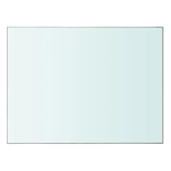 vidaXL Panel de estante vidrio claro 40x30 cm