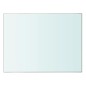 vidaXL Panel de estante vidrio claro 40x30 cm