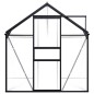 vidaXL Invernadero de aluminio gris antracita 5,89 m² vidaXL Invernadero de aluminio gris antracita 5,89 m²