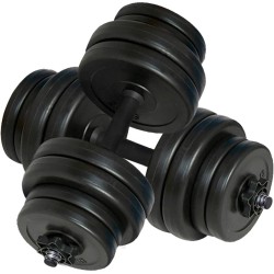 vidaXL Juego de mancuernas 2x15 kg