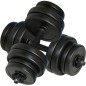vidaXL Juego de mancuernas 2x15 kg vidaXL Juego de mancuernas 2x15 kg