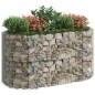 vidaXL Arriate de gaviones de hierro galvanizado 200x100x100 cm vidaXL Arriate de gaviones de hierro galvanizado 200x100x100 cm