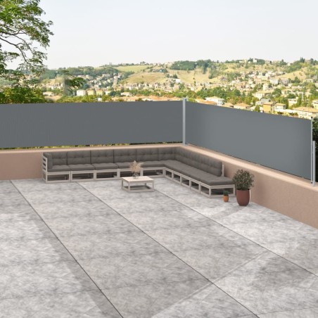 vidaXL Toldo lateral retráctil antracita 117x1200 cm