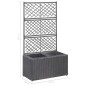 vidaXL Enrejado y arriate 2 macetas ratán sintético negro 58x30x107 cm vidaXL Enrejado y arriate 2 macetas ratán sintético negro 58x30x107 cm