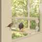 vidaXL Comedero de pájaros para ventanas 2 uds acrílico 30x12x15 cm vidaXL Comedero de pájaros para ventanas 2 uds acrílico 30x12x15 cm
