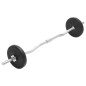 vidaXL Juego de barras y pesas 30 kg