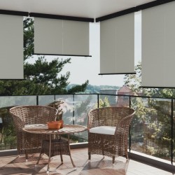 vidaXL Toldo lateral de balcón gris 165x250 cm