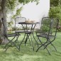 vidaXL Silla jardín plegable 2 uds antracita malla metálica expandida vidaXL Silla jardín plegable 2 uds antracita malla metálica expandida