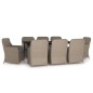 vidaXL Juego de comedor de jardín 9 piezas y cojines marrón vidaXL Juego de comedor de jardín 9 piezas y cojines marrón