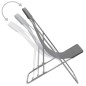 vidaXL Sillas de playa plegables 2 unidades acero y tela oxford gris vidaXL Sillas de playa plegables 2 unidades acero y tela oxford gris