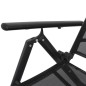 vidaXL Tumbona plegable de aluminio negra vidaXL Tumbona plegable de aluminio negra