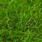 vidaXL Césped artificial verde 1x15 m/30 mm vidaXL Césped artificial verde 1x15 m/30 mm