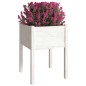 vidaXL Jardineras 2 uds madera maciza de pino 50x50x70 cm