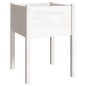 vidaXL Jardineras 2 uds madera maciza de pino 50x50x70 cm