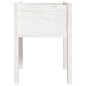 vidaXL Jardineras 2 uds madera maciza de pino 50x50x70 cm
