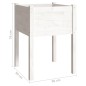 vidaXL Jardineras 2 uds madera maciza de pino 50x50x70 cm