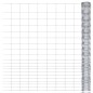 vidaXL Valla de jardín de acero galvanizado plateado 50x1,6 m vidaXL Valla de jardín de acero galvanizado plateado 50x1,6 m