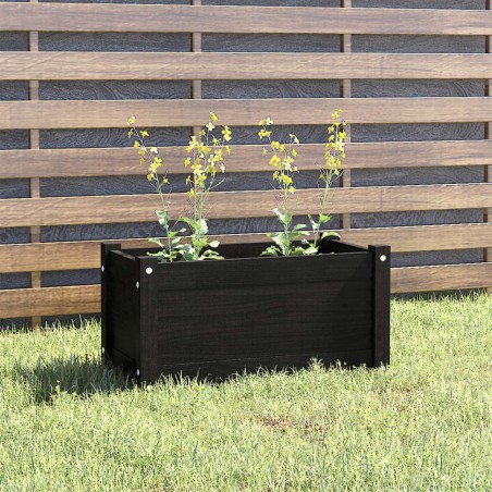 vidaXL Jardinera de madera maciza de pino negro 60x31x31 cm