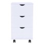 vidaXL Mueble de cajones blanco 33x45x60 cm vidaXL Mueble de cajones blanco 33x45x60 cm