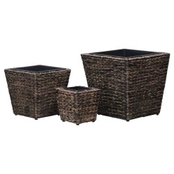 vidaXL Conjunto de arriates 3 piezas jacinto de agua marrón