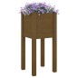 vidaXL Jardineras 2 uds madera maciza de pino marrón miel 31x31x70 cm vidaXL Jardineras 2 uds madera maciza de pino marrón miel 31x31x70 cm