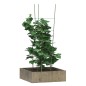 vidaXL Soportes plantas jardín con 4 anillas 5 uds acero verde 90 cm vidaXL Soportes plantas jardín con 4 anillas 5 uds acero verde 90 cm